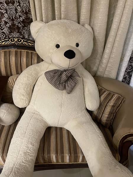 6ft teddy 0