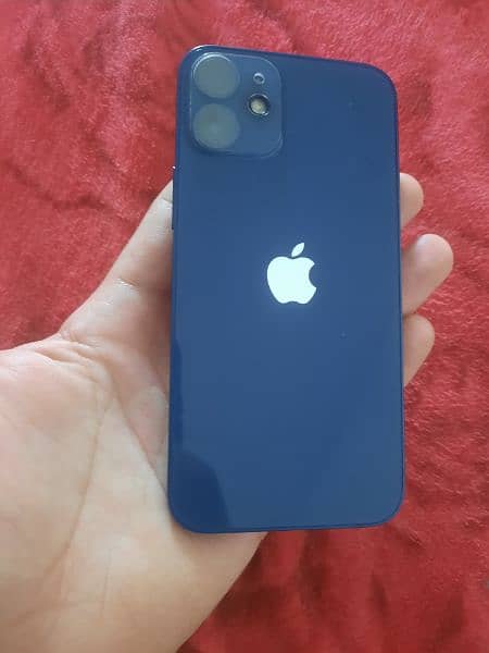 iphone 12 mini 11