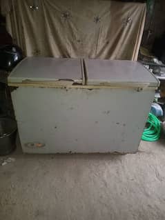 Freezer Two door for Sell