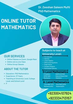 Dr. Zeeshan Saleem Mufti (PhD Mathematics)