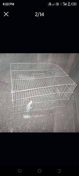 Cage Pinjra 12 portion for Parrots finches Dove small birds 9