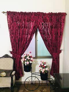 Maroon colour curtain 0