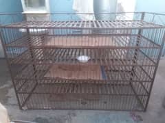 Animal Cage (Pinjra)