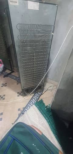 electrolux fridge