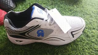 cricket gripping shoes of CA brand.