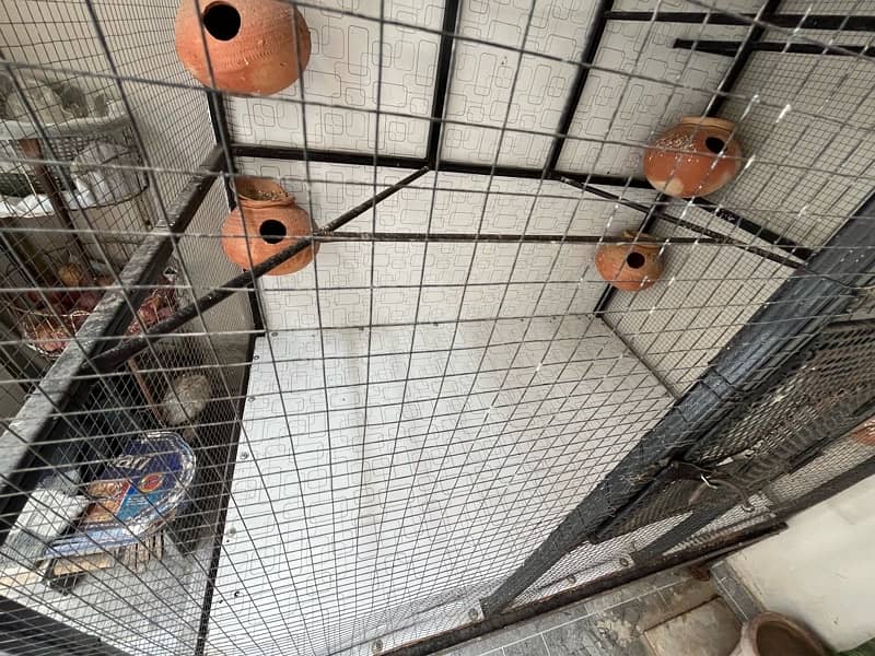 Cage |for Parrots  | High quality profile pipe | With Iron stand | 4ft 17