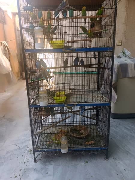 metal bird cage 3 portion 0