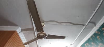 Parwaz celling fan in good condition