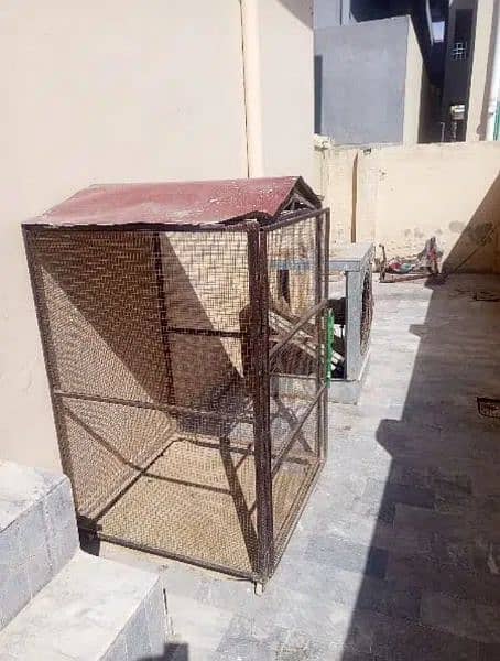 Cage For Sale 1