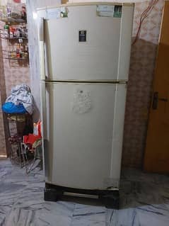 Dawlence Fridge For Sale Big Size