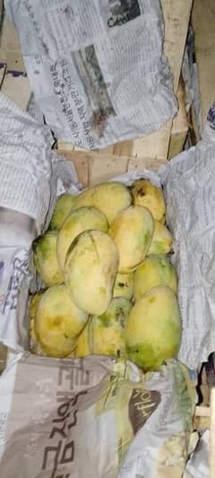 Mango Chaunsa Wiole Sale Export Quality
