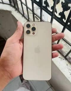 iPhone 12 Pro 256