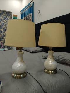 lamps pair