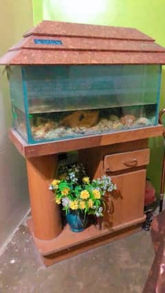 Fish Aquarium URGENT SALE