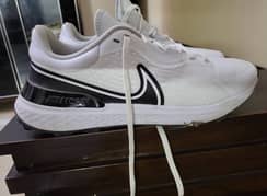 Nike Infinity Pro 2