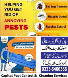 Termite Cockroach Mosquito Fumigation spray, Water Tank  Sofa cleaning