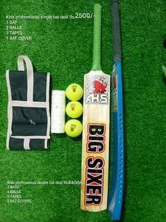 High Quality Hard ball/Tennis ball bats