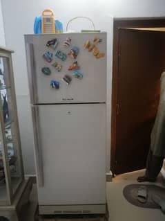 pel fridge new condition mein hai serious log Rabta Karen 03160452641