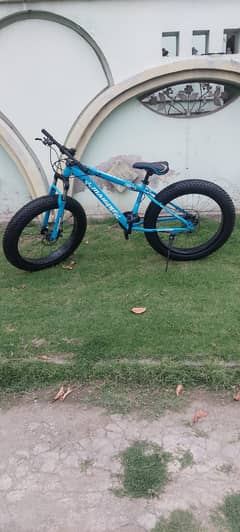 Fat bike