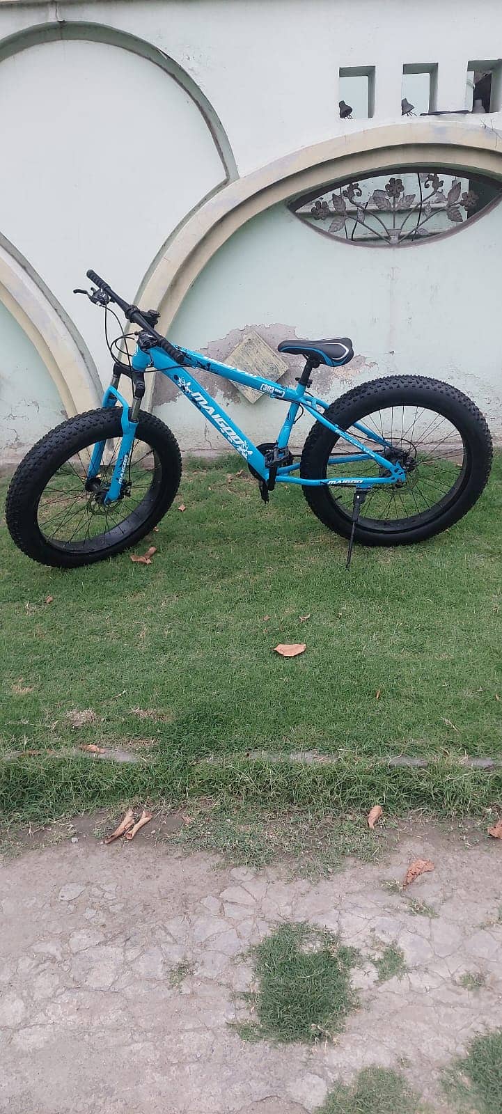 Fat bike 0