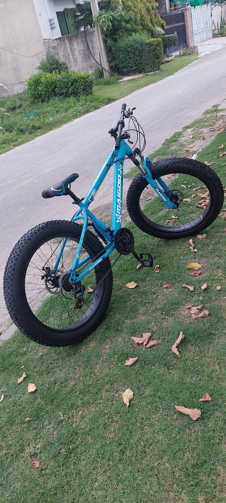 Fat bike 2