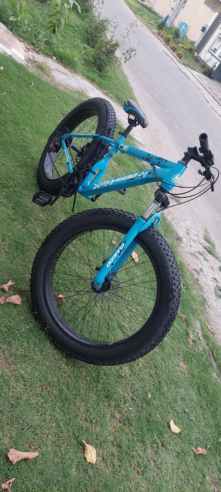 Fat bike 3