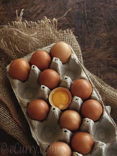 pure aseel , hera, muska fertile eggs, chicks in reasonable price