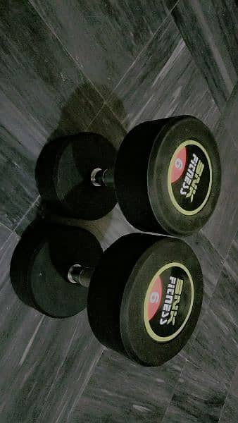 6KG DUMBBELLS PAIR SLIGHTLY USED 2