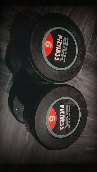 6KG DUMBBELLS PAIR SLIGHTLY USED 3