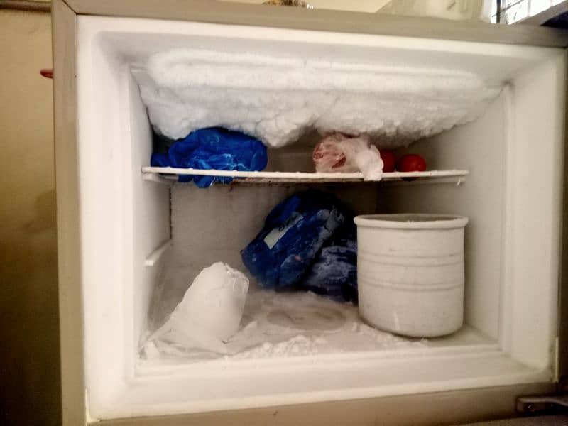 freezer 1