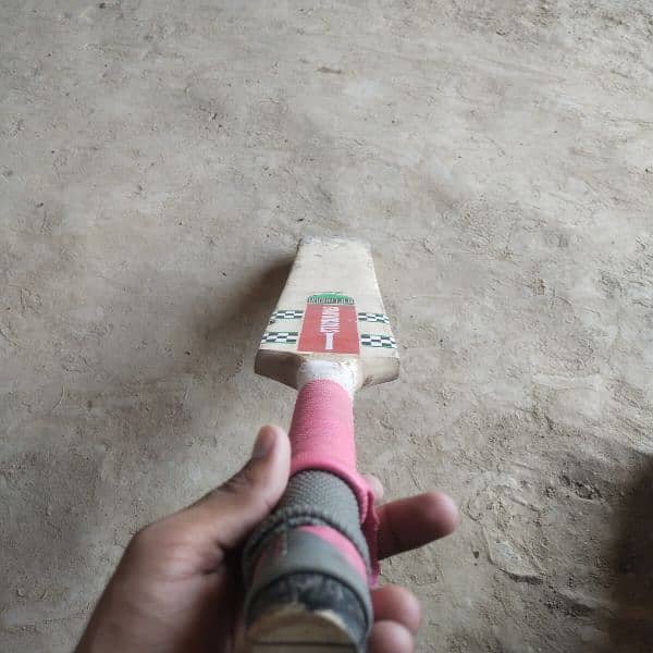 gray-nicolls hard heater bat 1