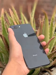 iphone 8plus PTA APPROVED EXCHNGE ONLY IPHONE 03269969969 wp ajao