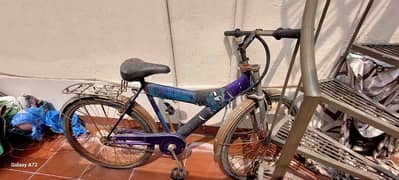 Sony bicycle