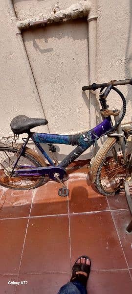 Sony bicycle 1