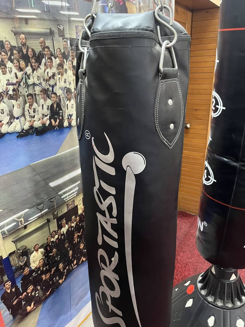 Punching bag 0