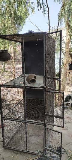 parrot & hen cage /pinjra / pinjra for sale
