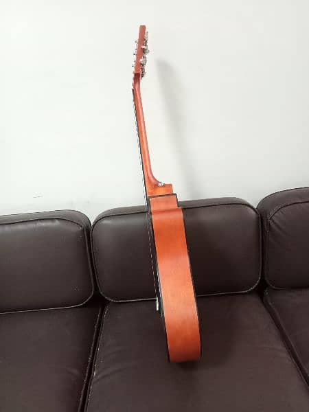 Acoustic Guitar Swift Horse 6