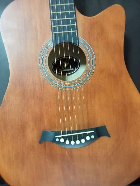 Acoustic Guitar Swift Horse 2