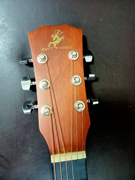 Acoustic Guitar Swift Horse 1