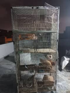 Birds 8 portion cage