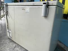 Pel Freezer for sale