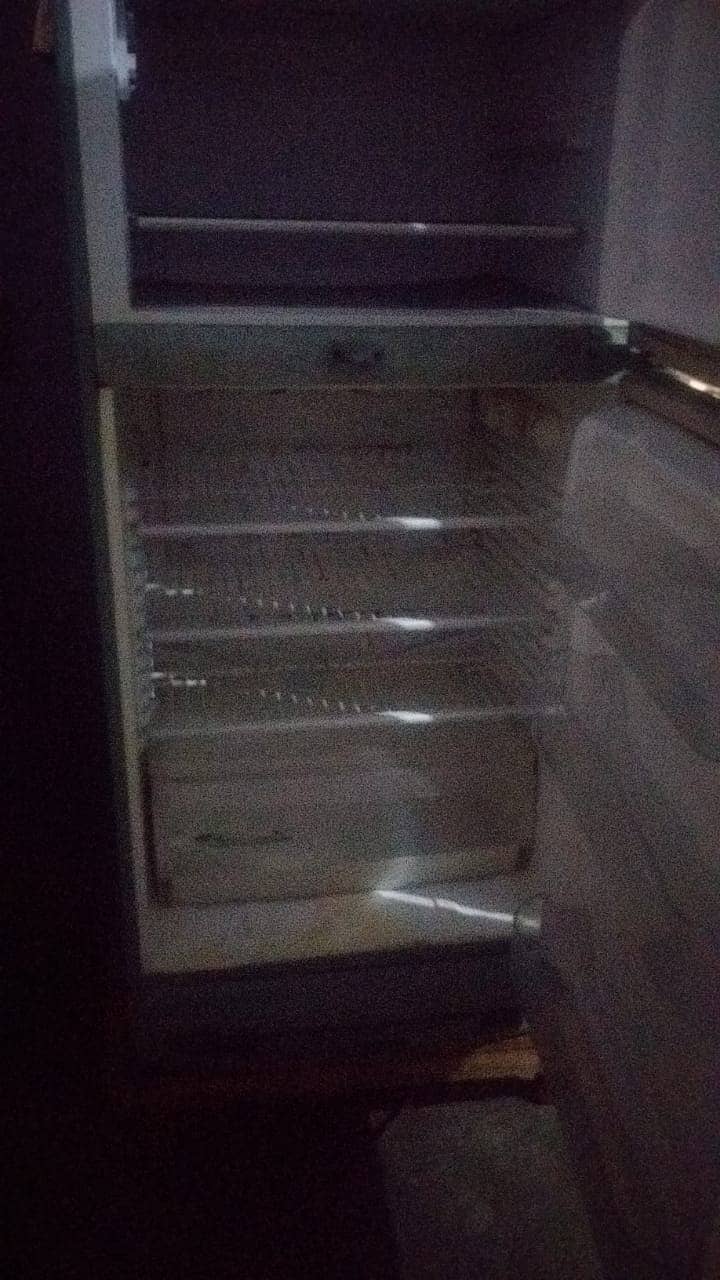 PEL Refrigerator 3