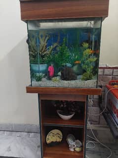 Fish Aquarium with 5 fish and water pump.
