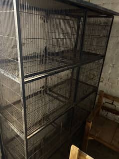 cage and love birds sale 0