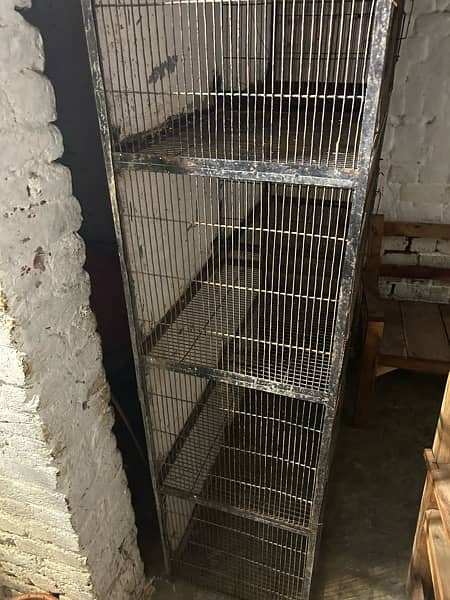 cage and love birds sale 2