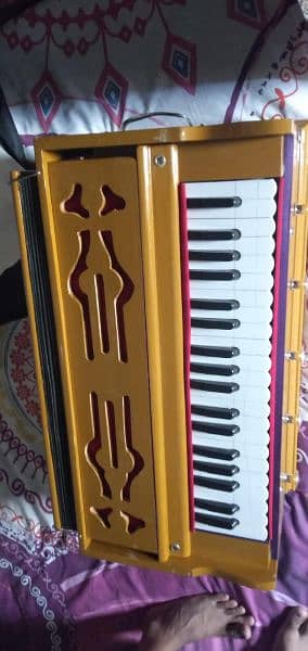 Camera Bellow Harmonium Indian reeds 7