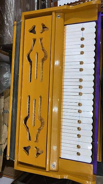 Camera Bellow Harmonium Indian reeds 11