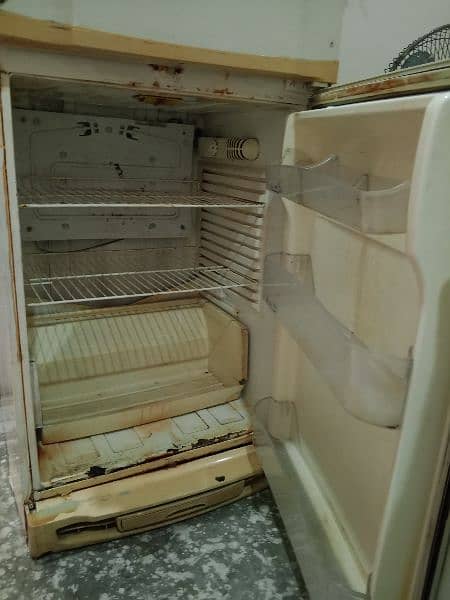PEL fridge 4