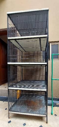 BIRD CAGE 4 PORTION