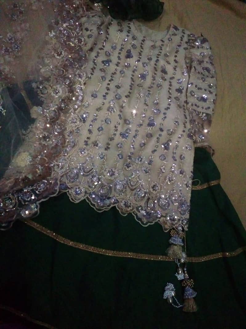 net shurt and net dupatta and very nice cloth lehnga with orgenza frel 5
